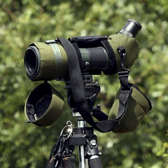 angled spotting scope
