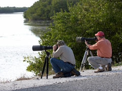 bird watching with spotting scopes on sanibal island, florida