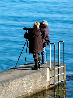 using a spotting scope at a lake